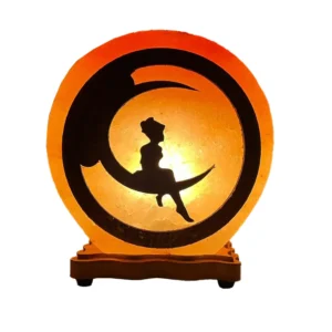 Himalayan Handmade Salt lamp with Modern wood work display Mood Lady